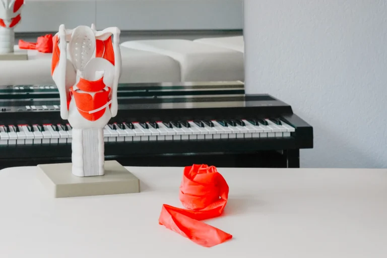 Modell des Kehlkopfes und der Stimmbänder, daneben liegt ein Teraband; im Hintergrund ein Klavier.